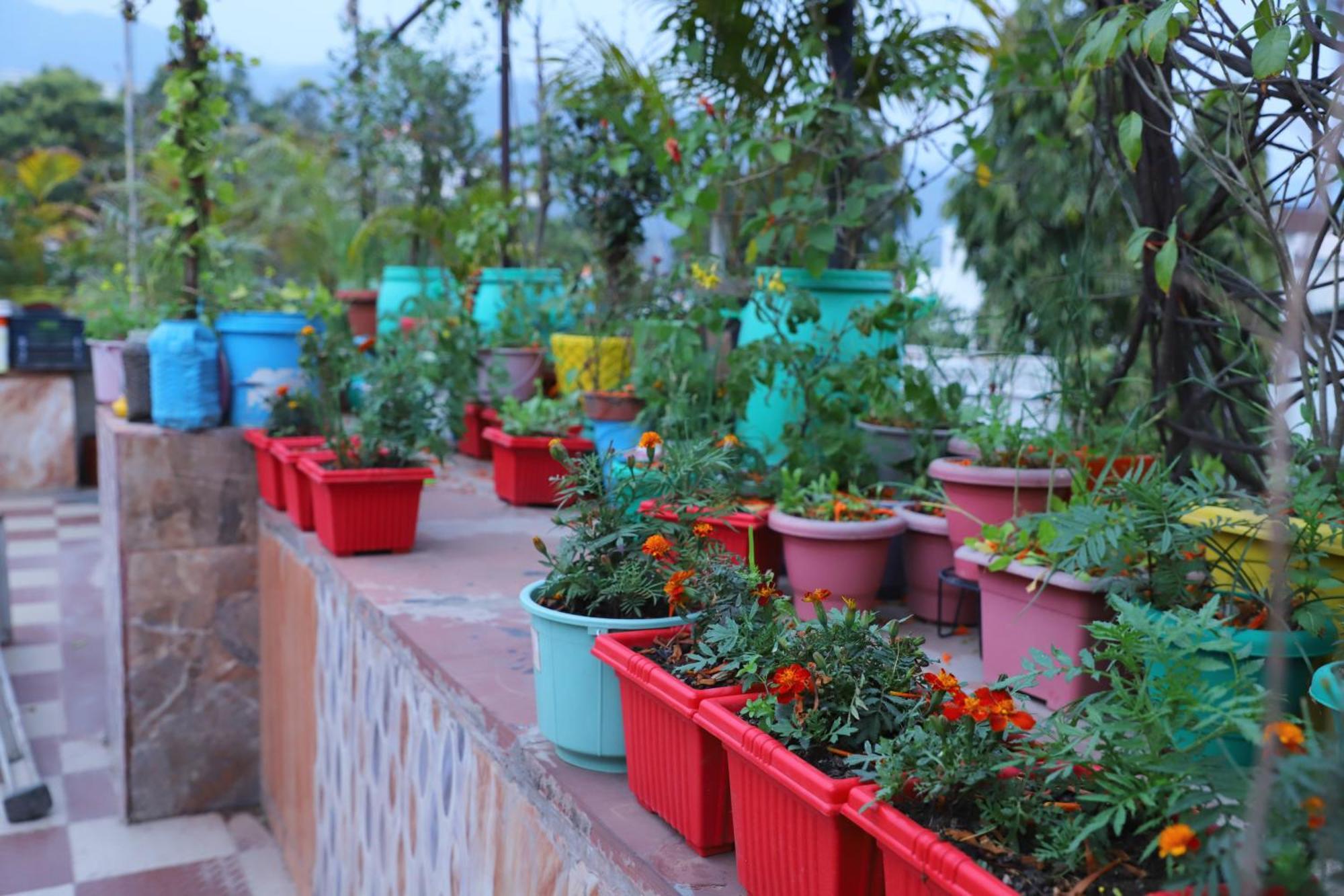 Madhuban Homestay, Natraj Chowk Rishikesh Bagian luar foto