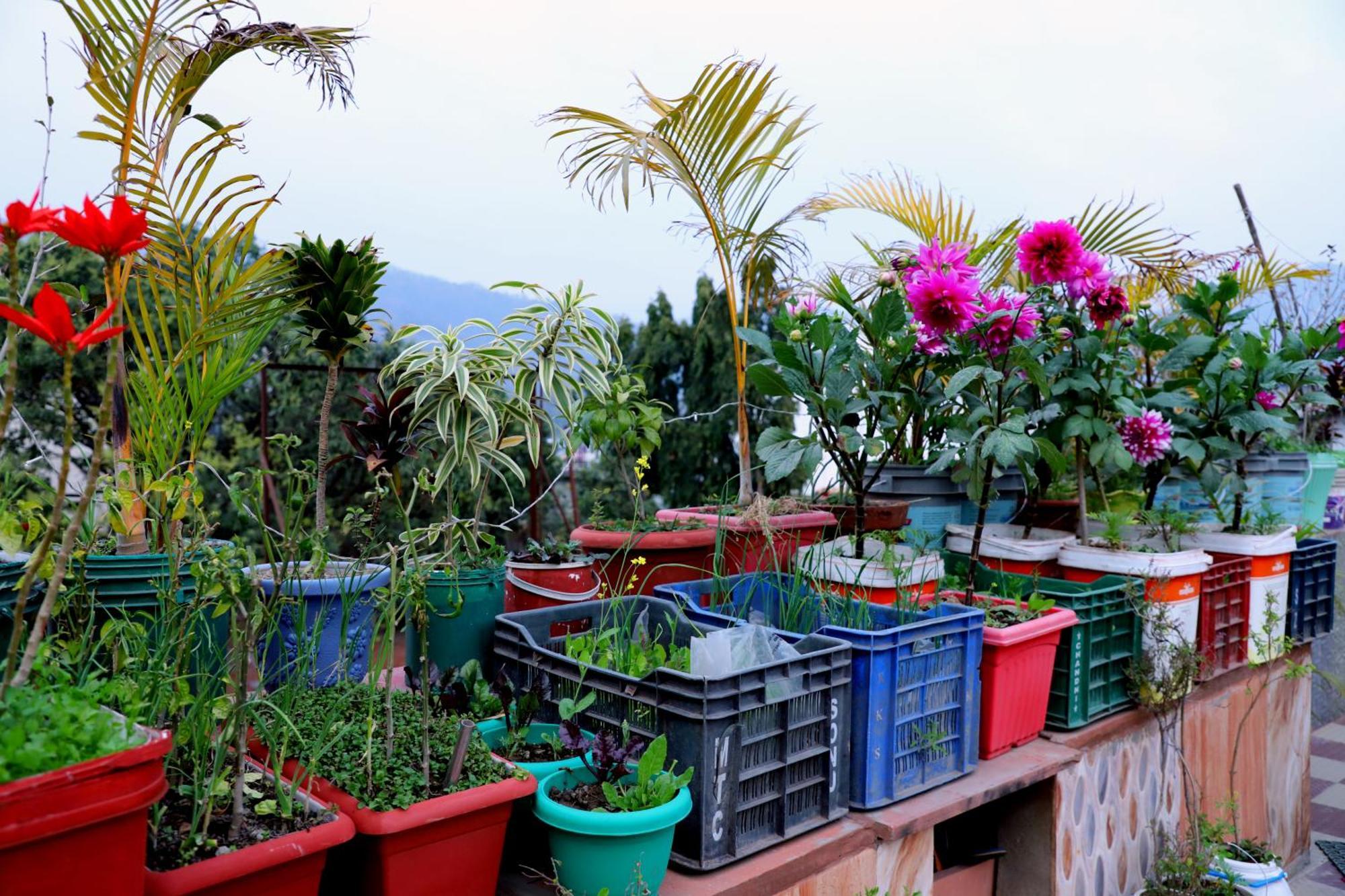 Madhuban Homestay, Natraj Chowk Rishikesh Bagian luar foto